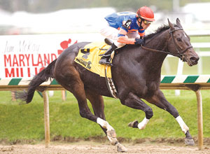 Roaring Lion