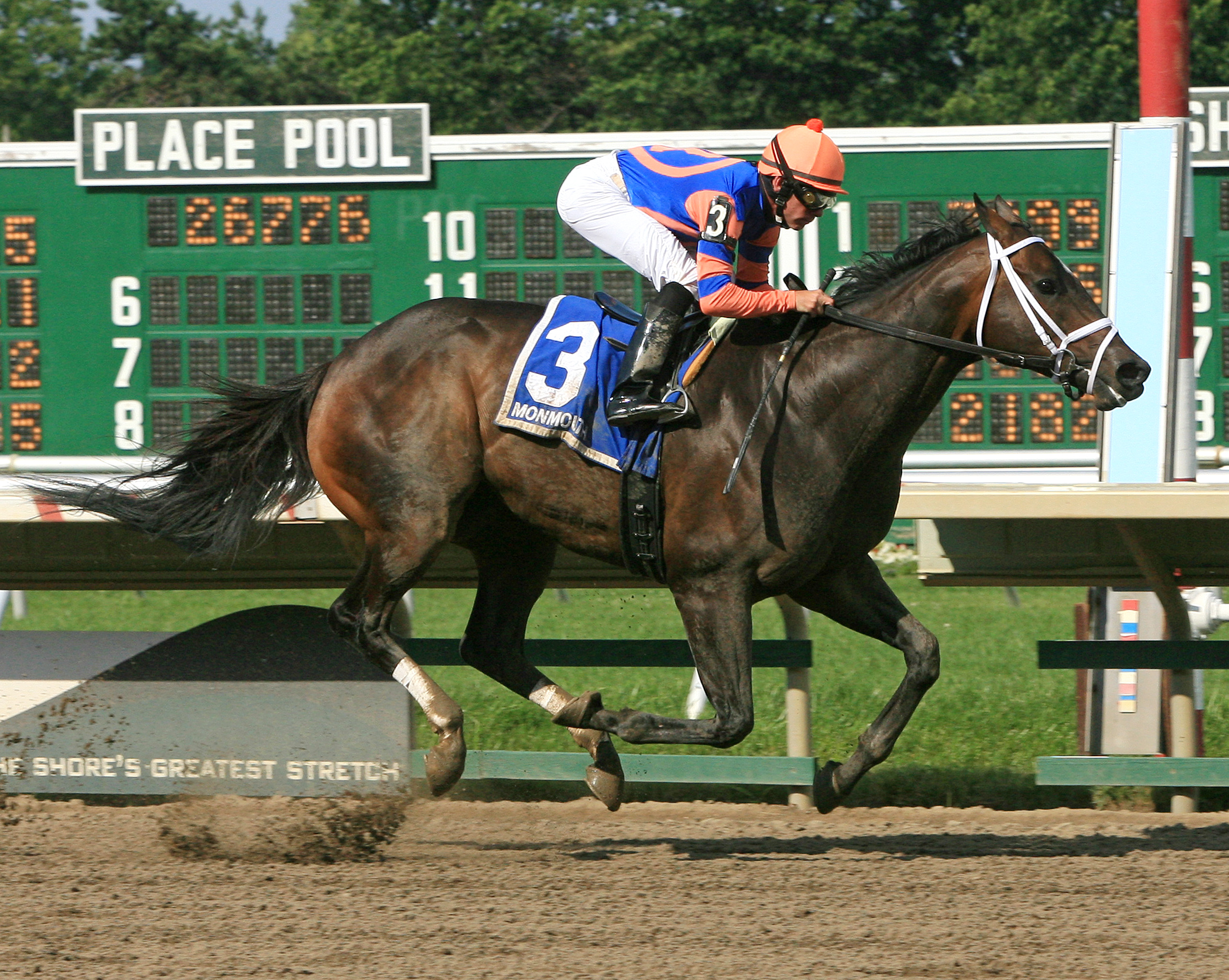 Roaring Lion 7-4-2011