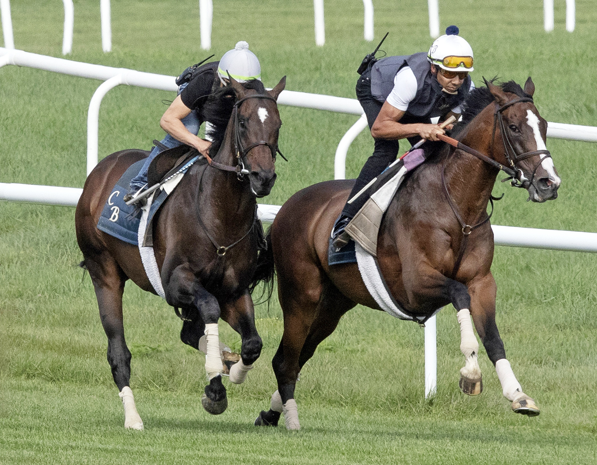 Robert Bruce trains with Projected at Saratoga on Aug. 27