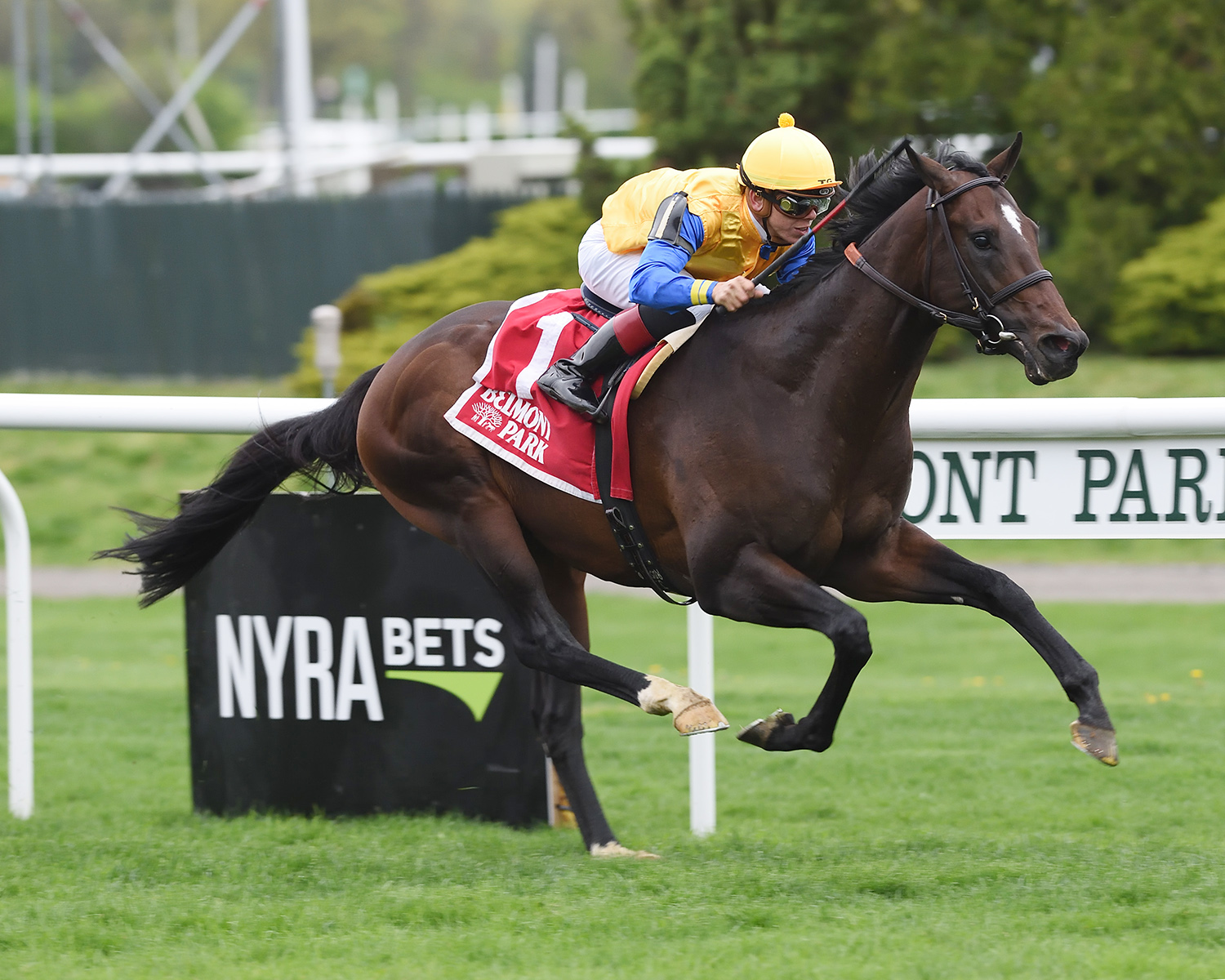 Robert Bruce wins the Fort Marcy Stakes