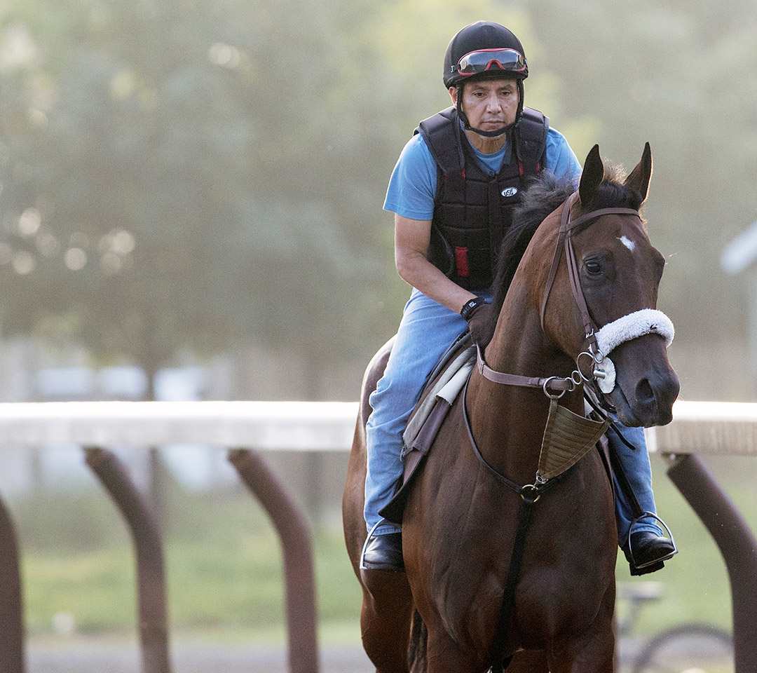 Robin Sparkles at Saratoga Race Course on July 21