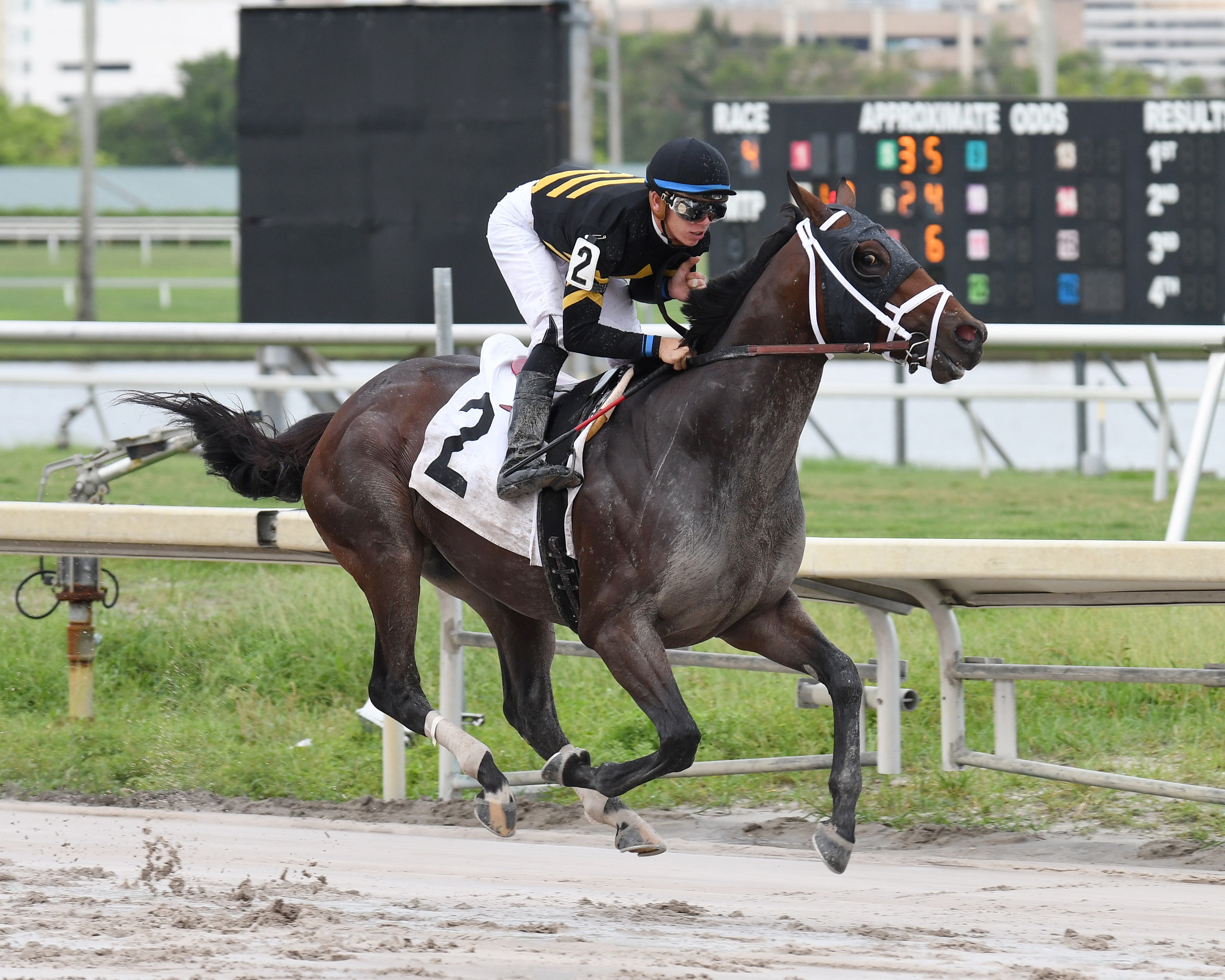 Robusto wins a Sept. 29 maiden race