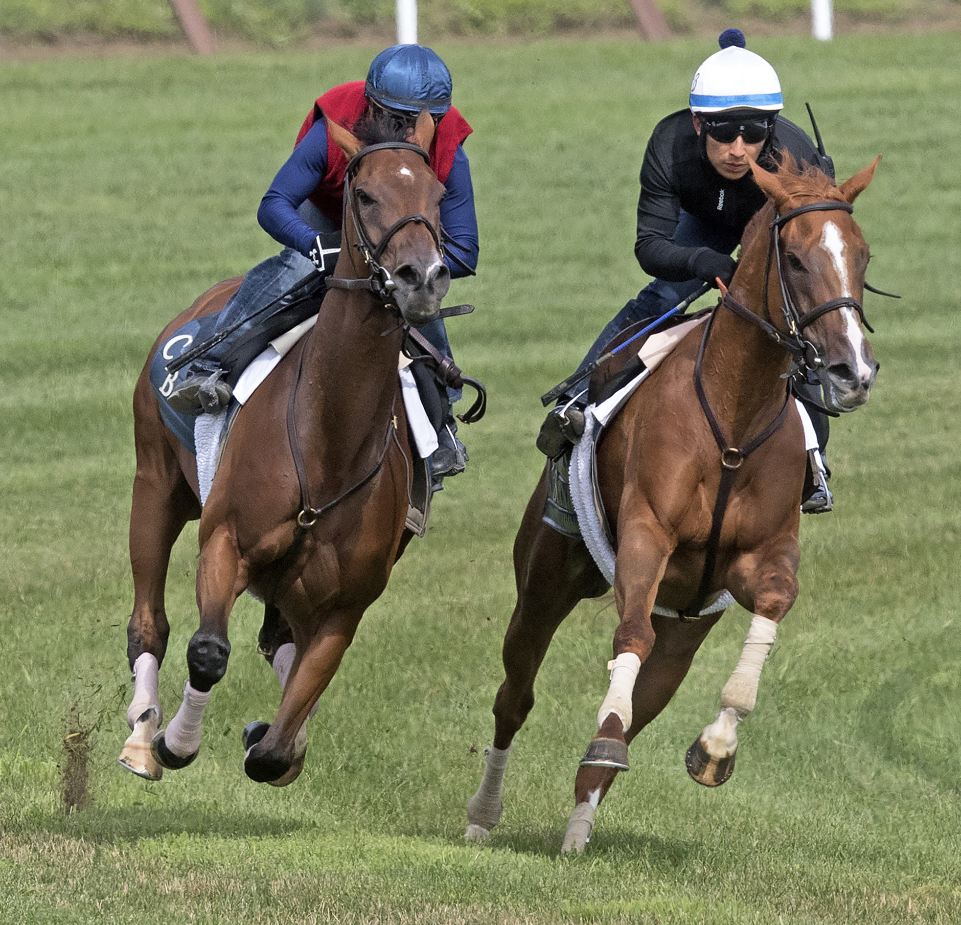 Uni and Roca Rojo train at Saratoga on Aug. 14, 2017