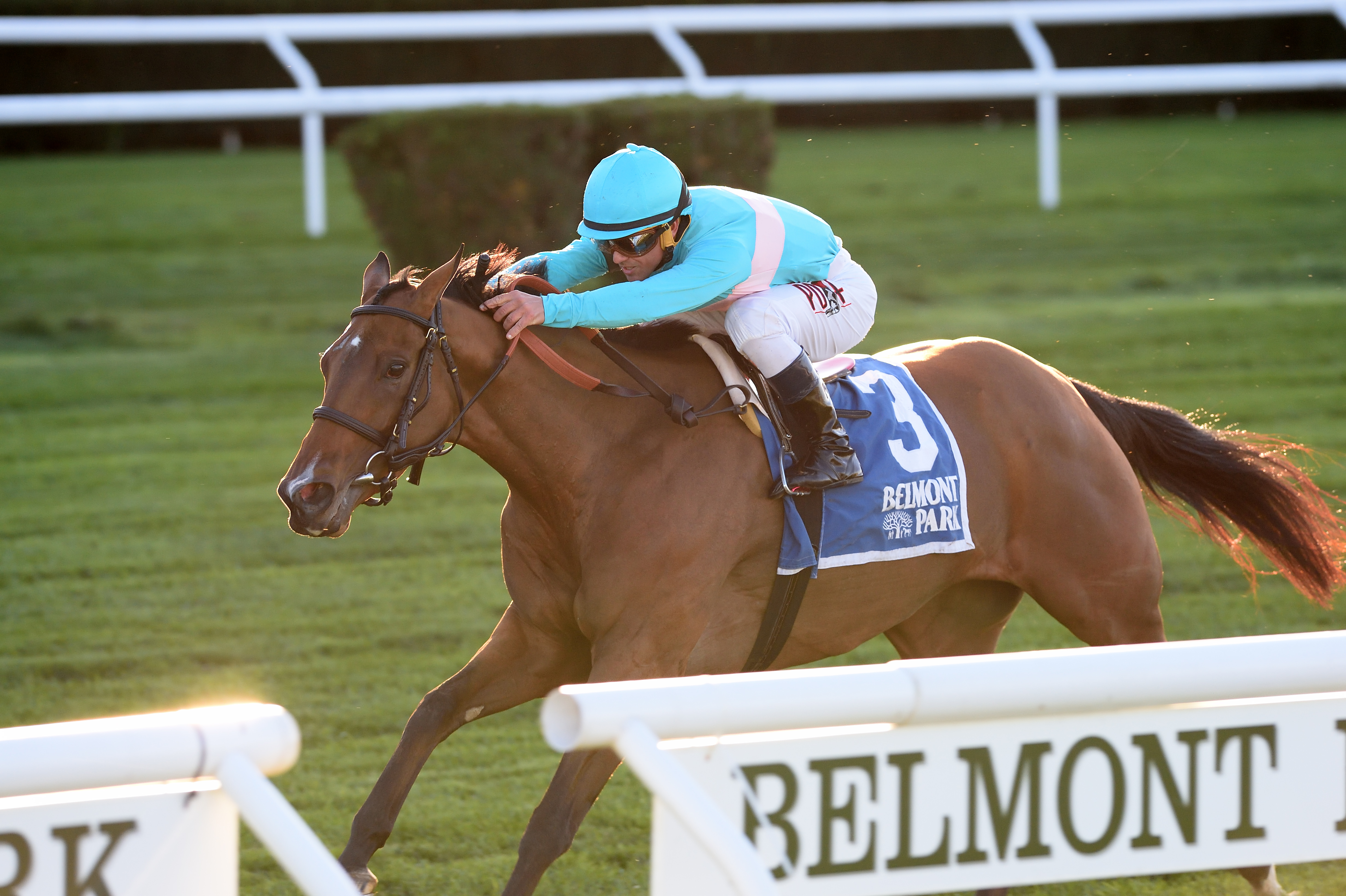 Roca Rojo wins the Athenia Stakes
