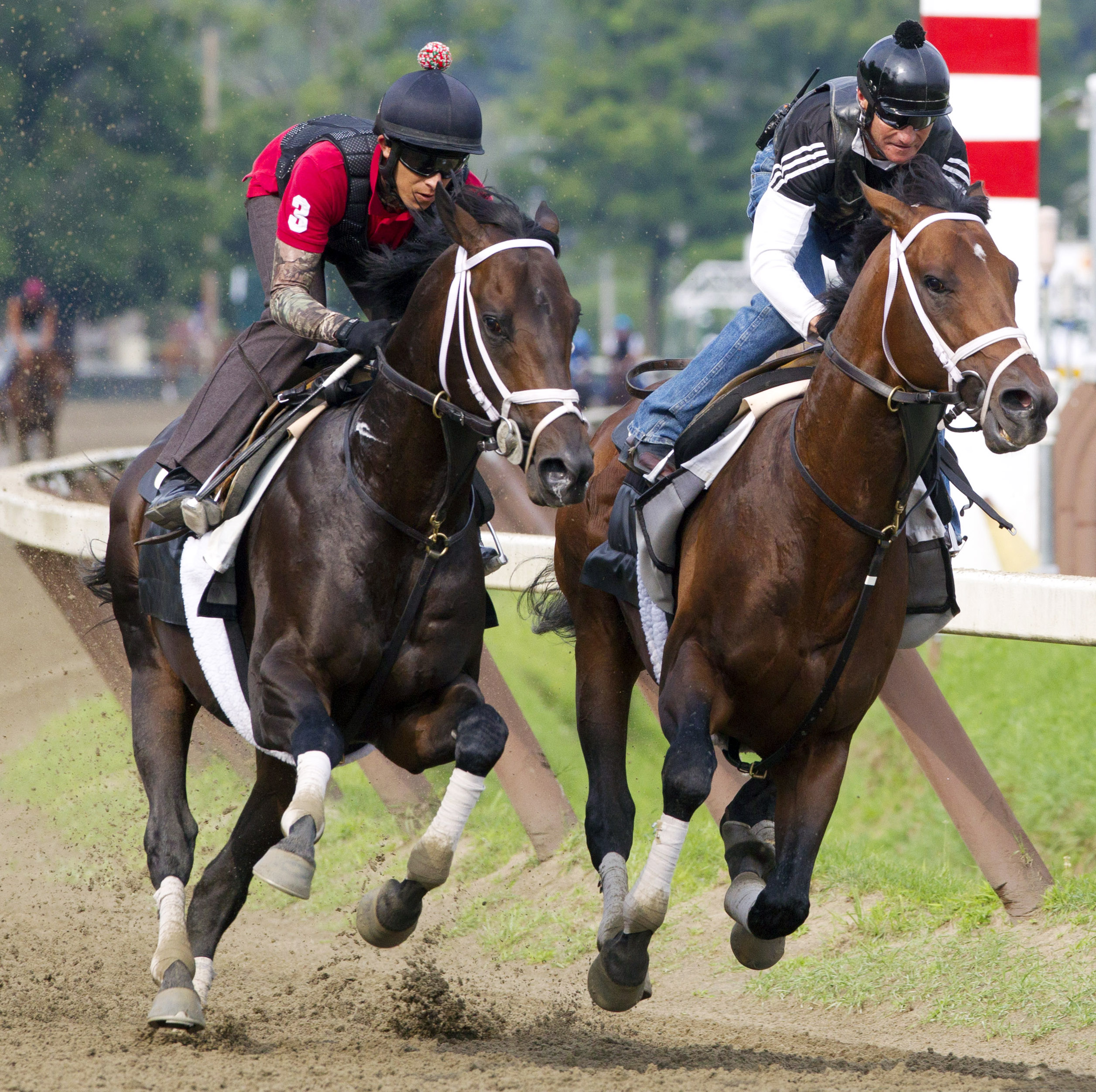 Rock Fall trains with Palace Malice at Saratoga