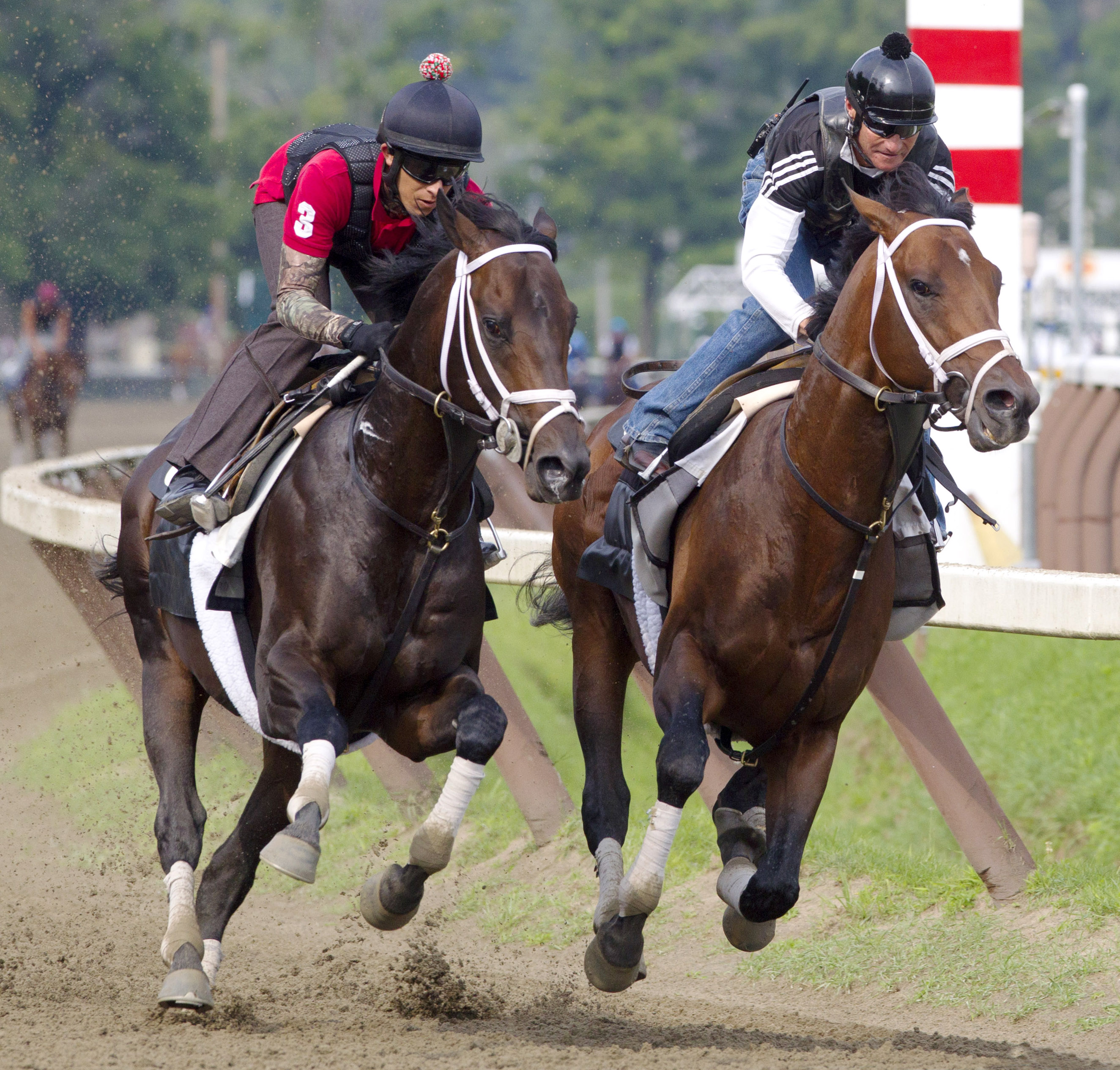 Rock Fall works with Palace Malice at Saratoga last summer