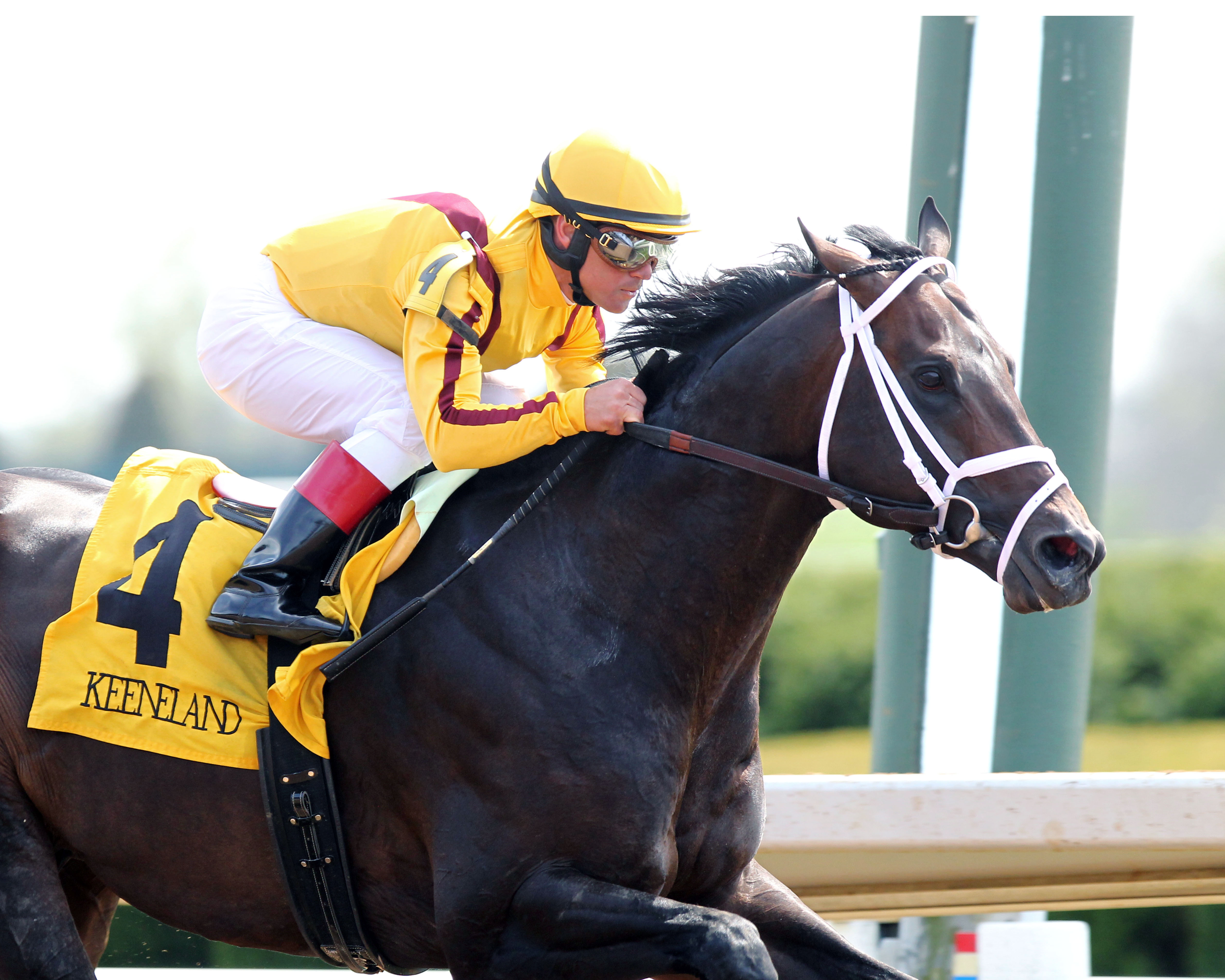 Rock Fall wins an allowance