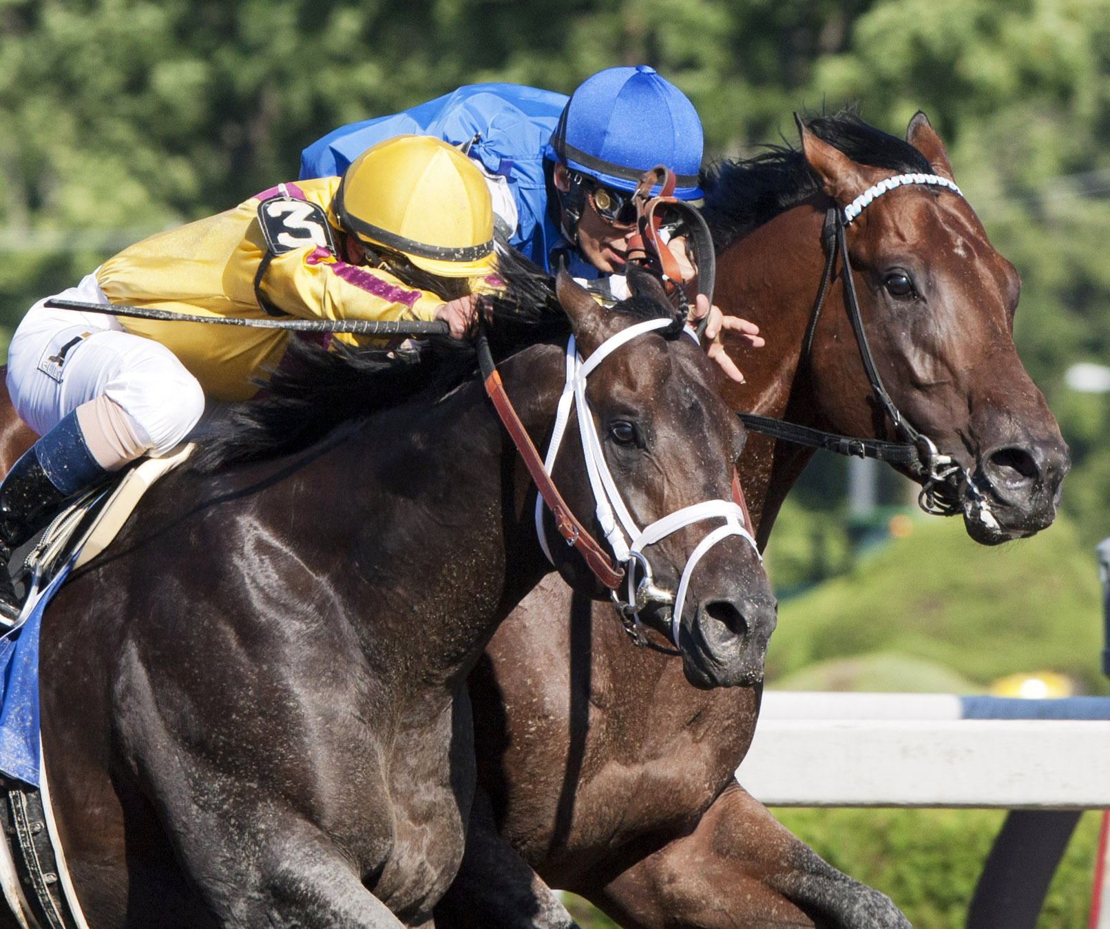 Rock Fall wins the Vanderbilt