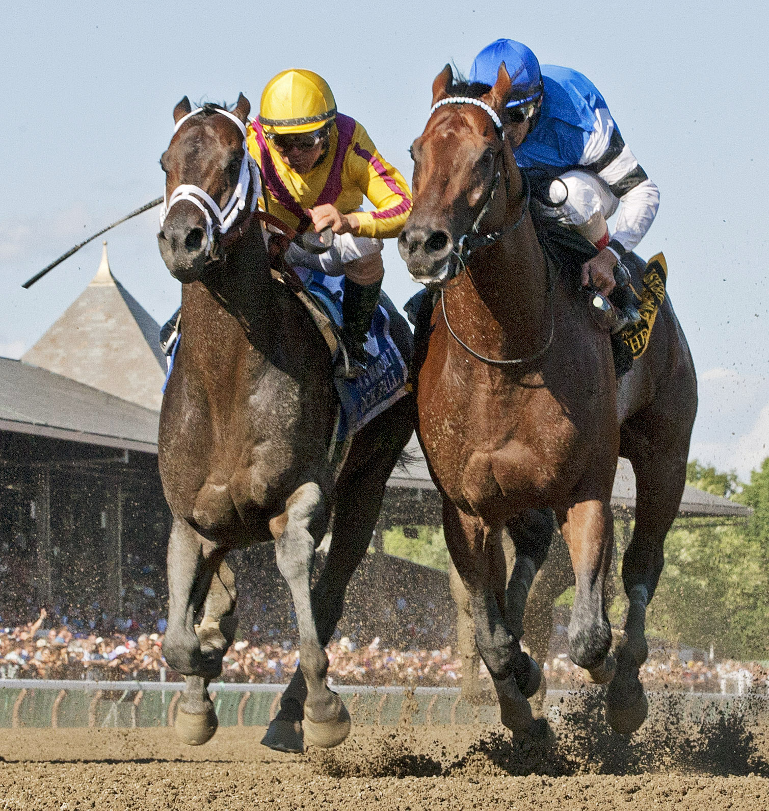 Rock Fall beats The Big Beast in the Vanderbilt