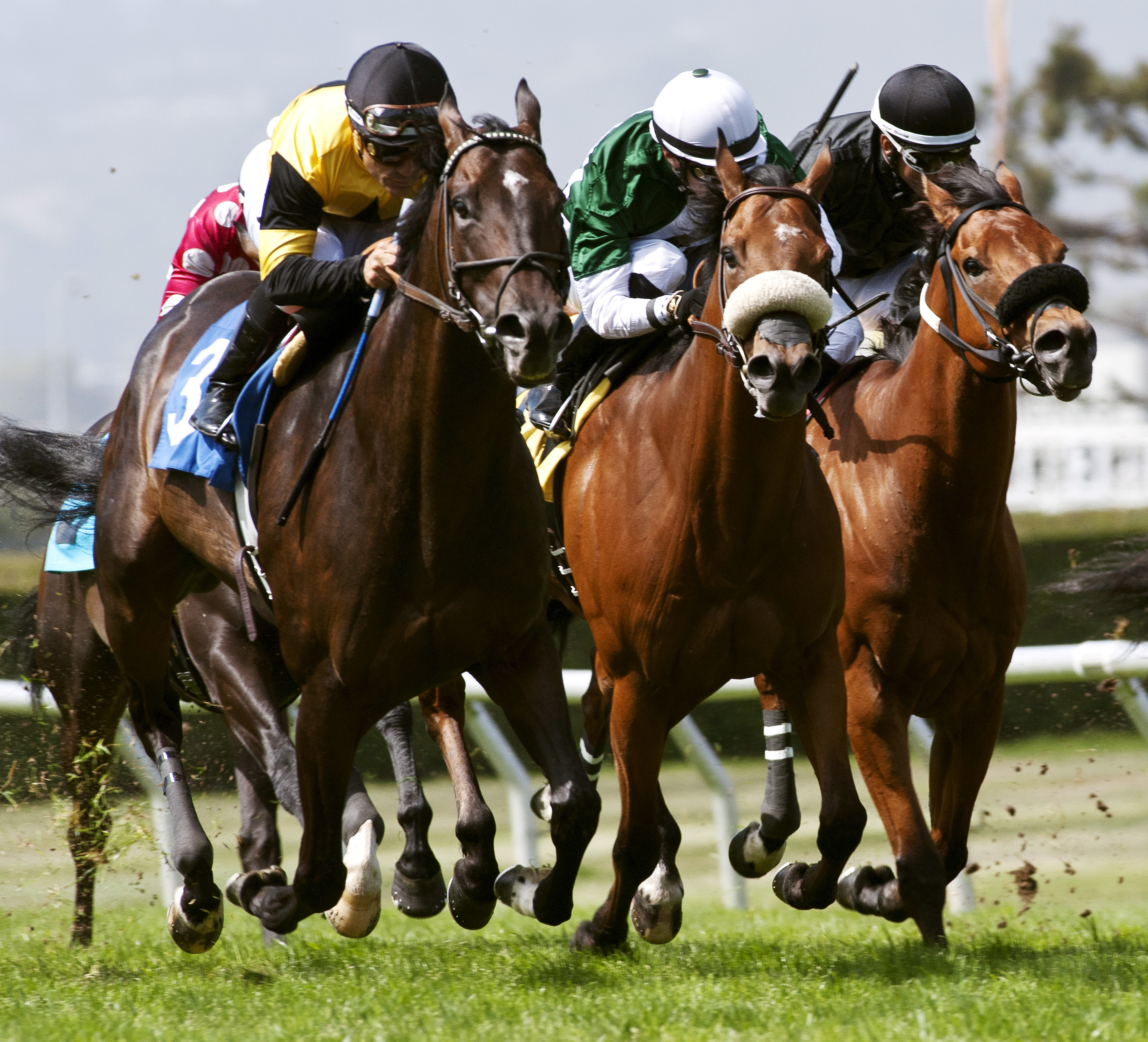 Rock Me Baby wins the Albany Stakes