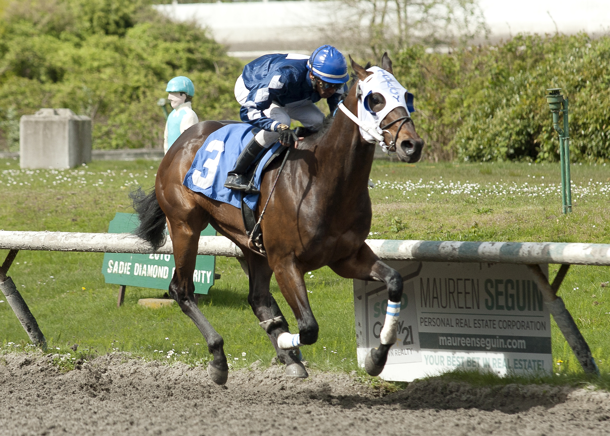Rock Victor wins the 2017 British Columbia Cup Stellar's Jay