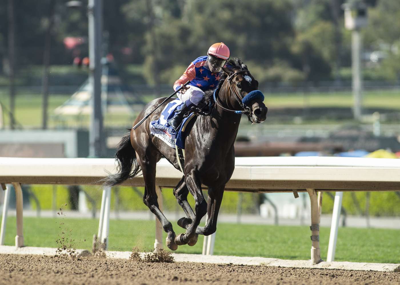 Rock Your World wins Santa Anita Derby 4-3-2021