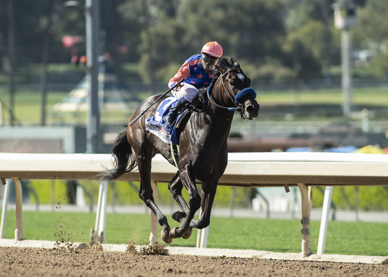 Rock Your World wins Santa Anita Derby 4-3-2021