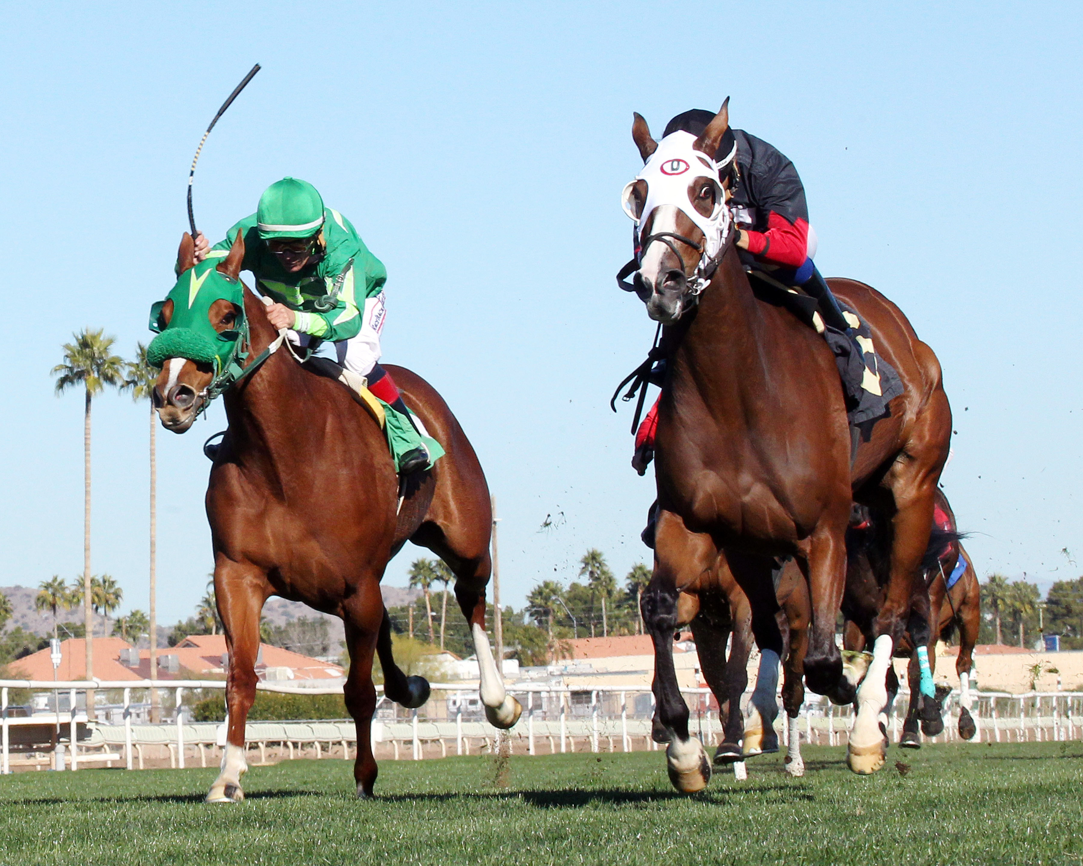 Rock and Glory wins the Glendale Handicap