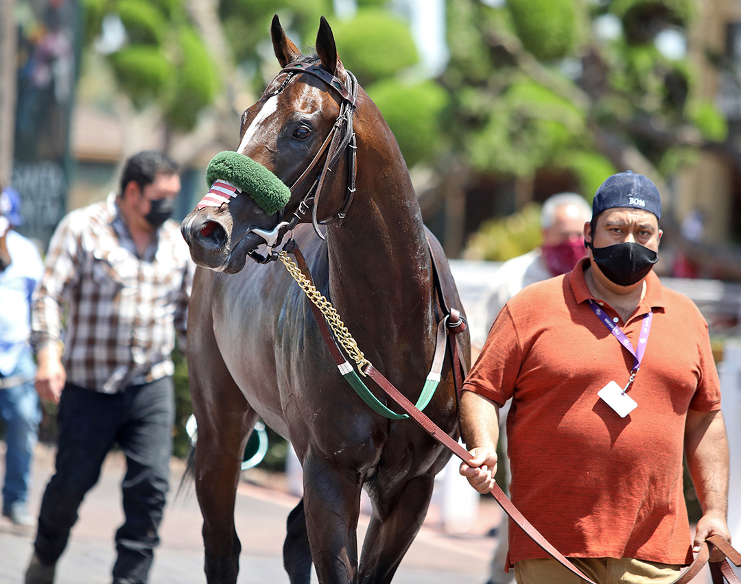Rock N Rye at Santa Anita Park on May 30