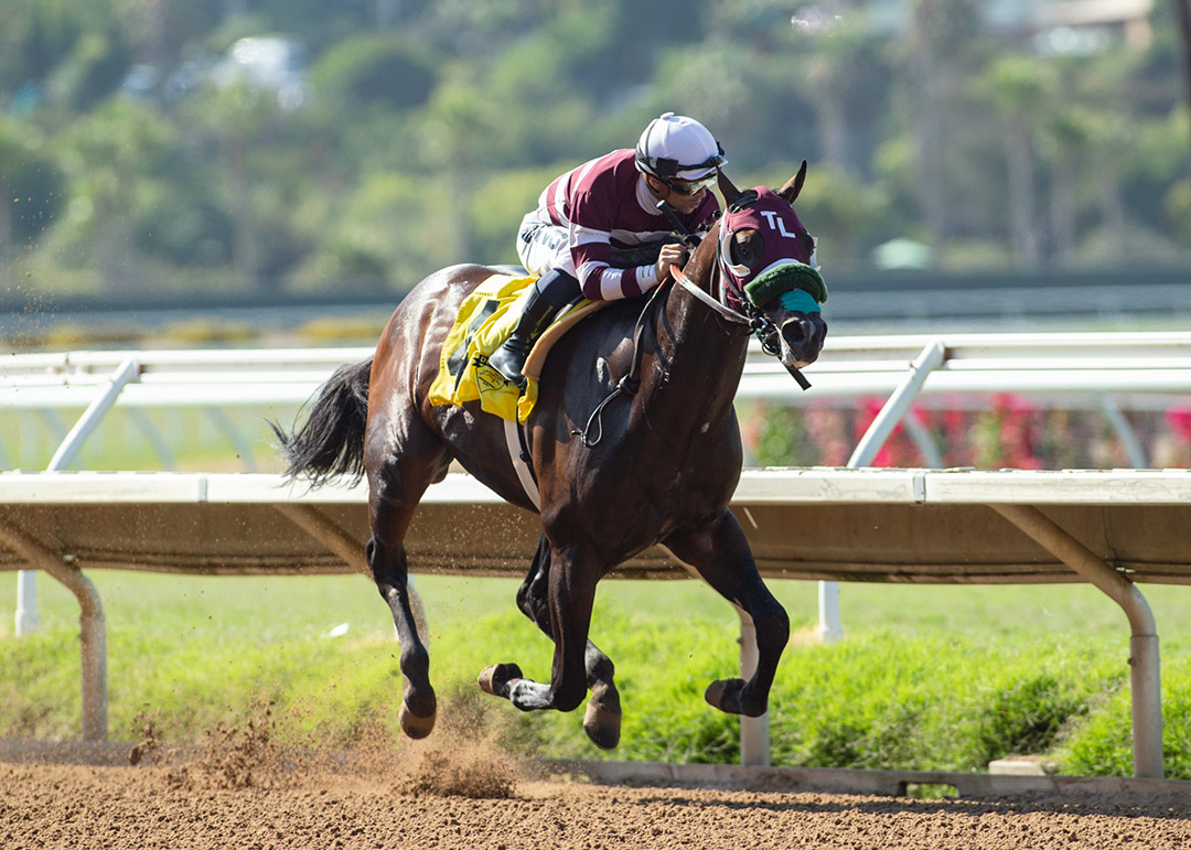 Rock N Rye wins the 2021 Graduation Stakes at Del Mar