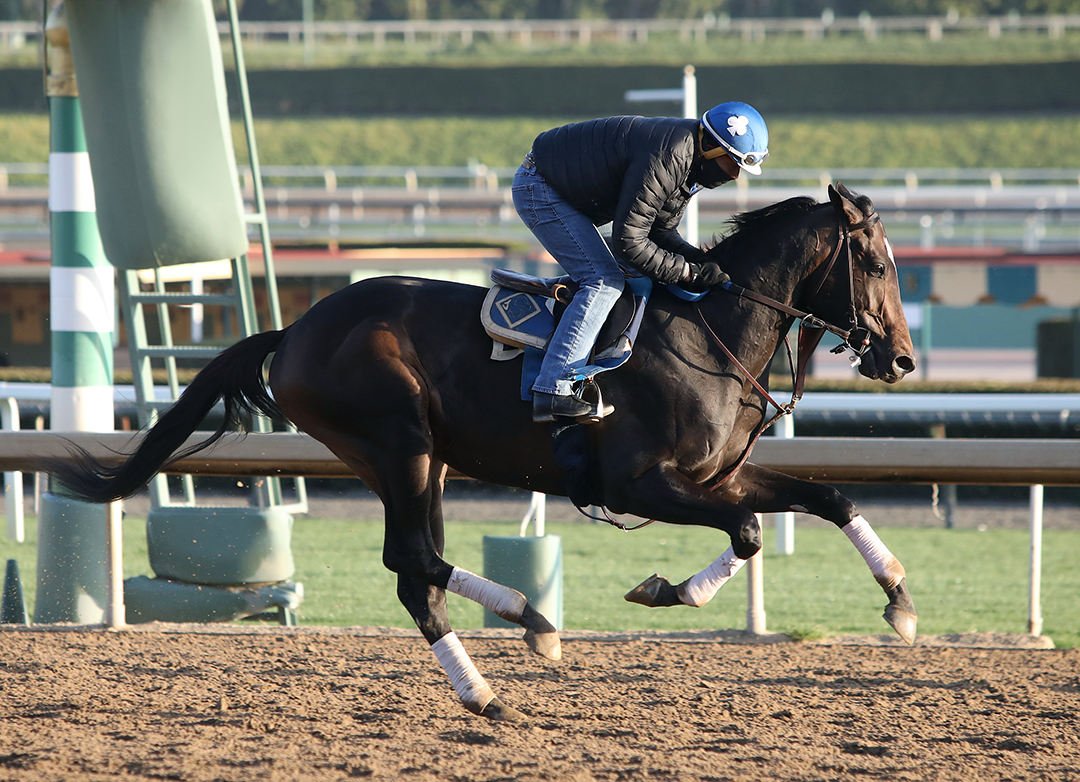 Rock Your World trains at Santa Anita on March 6