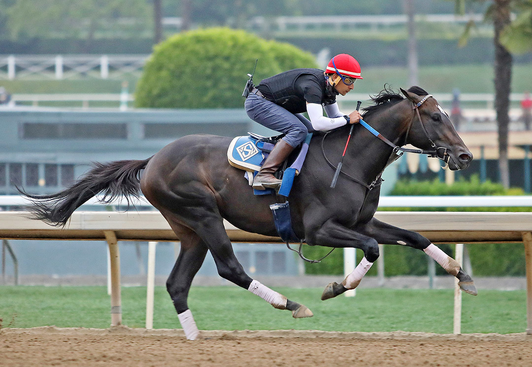 Rock Your World trains at Santa Anita on May 28