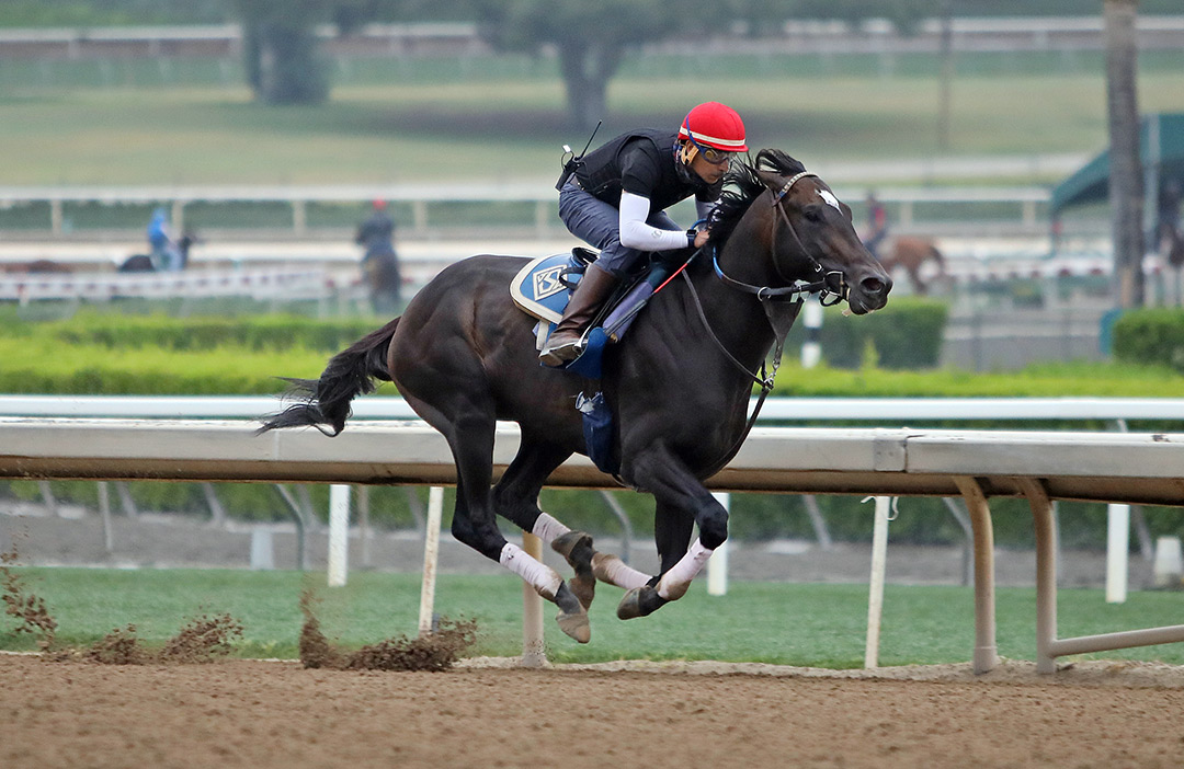Rock Your World trains at Santa Anita on May 28