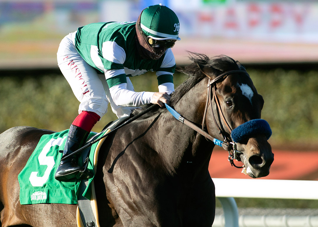 Rock Your World wins the 2021 Pasadena Stakes at Santa Anita
