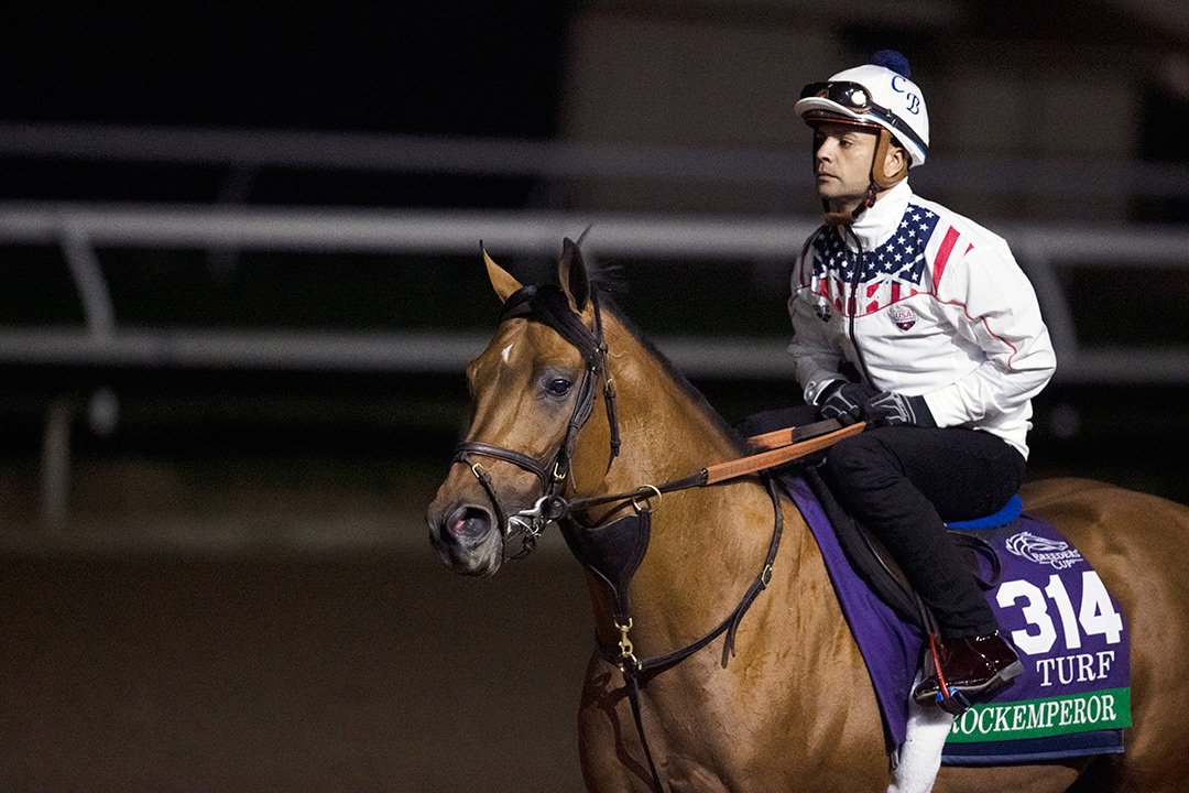 Rockemperor at Del Mar for the Breeders' Cup