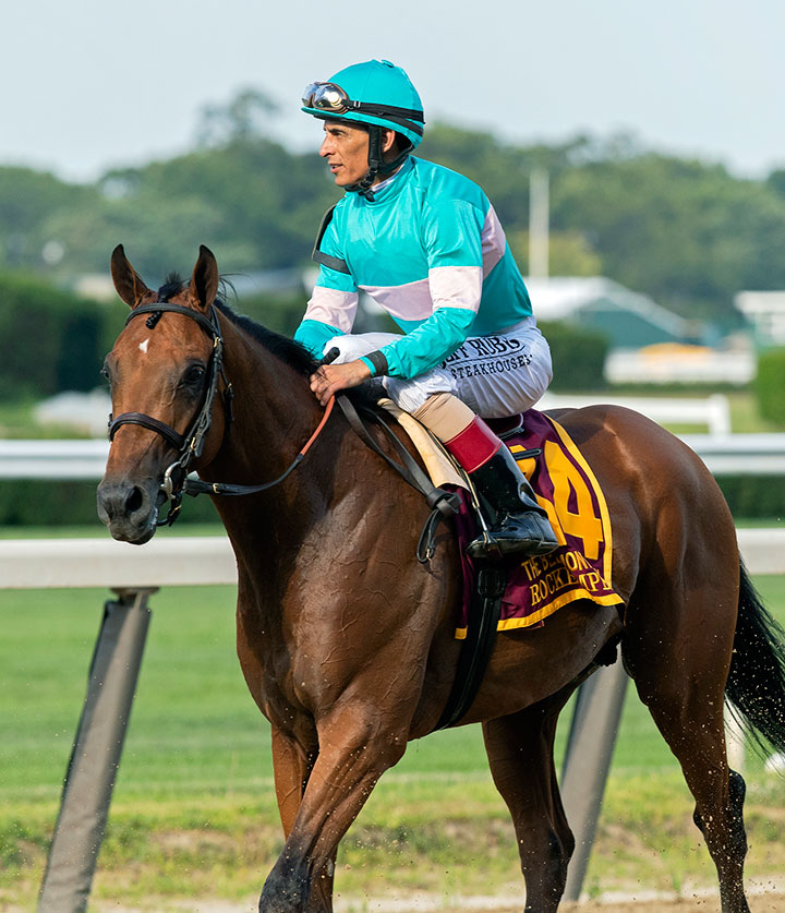 Rockemperor at the 2019 Belmont Derby at Belmont Park