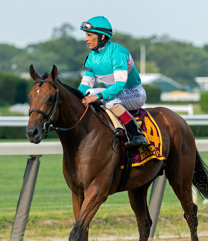 Rockemperor at the 2019 Belmont Derby at Belmont Park