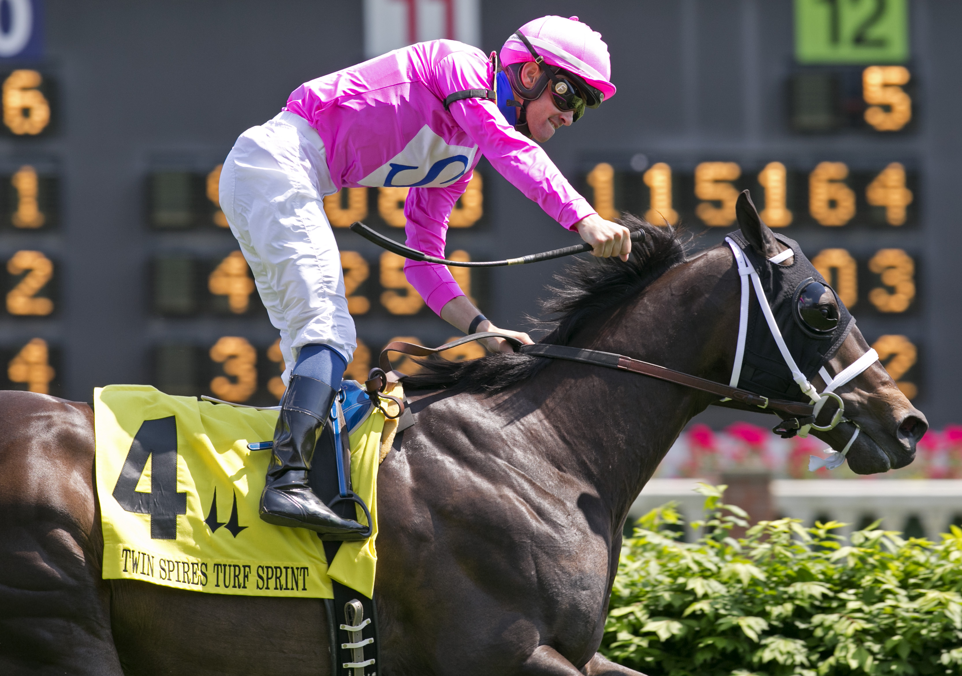 Rocket Heat wins the Twin Spires Turf Sprint Stakes