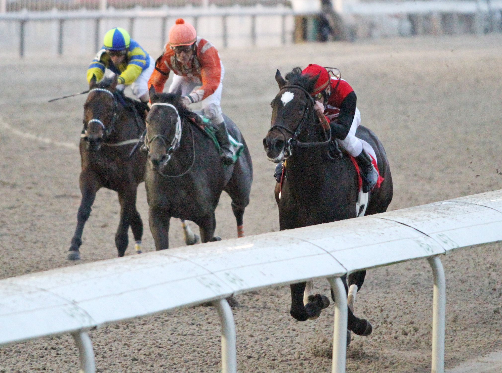 Rocket Time wins the 2014 Tenacious Stakes