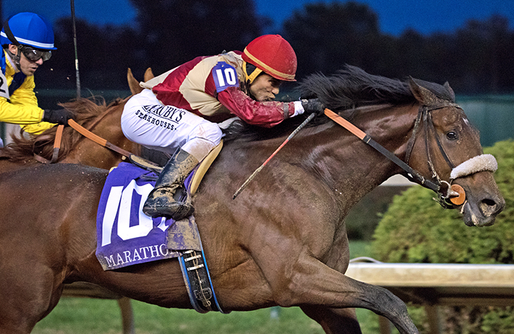 Rocketry wins the 2018 Marathon Stakes