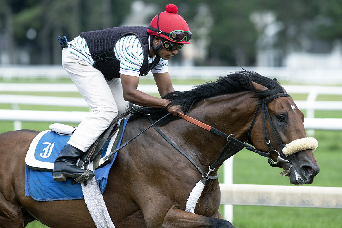 Rocketry trains at Saratoga on Aug. 15