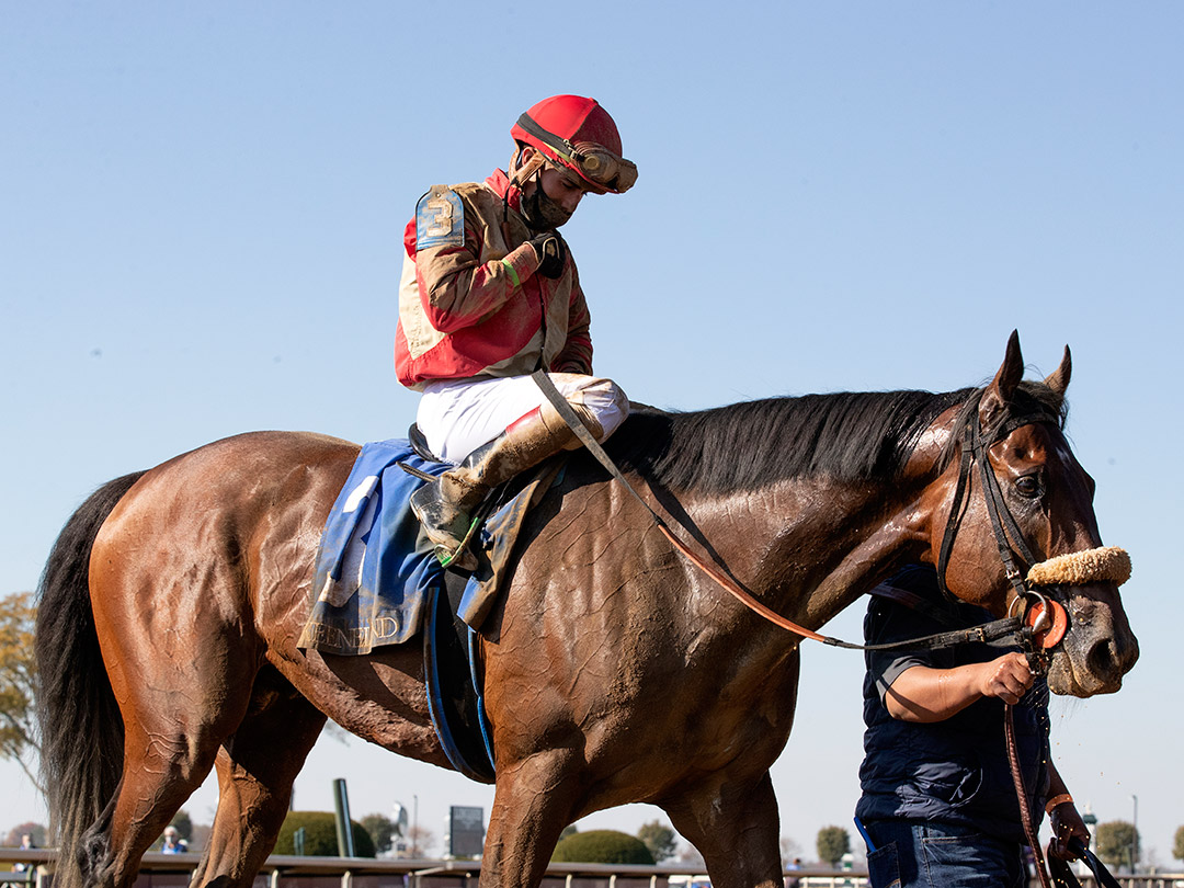 Rocketry, under Irad Ortiz Jr., after winning the Thoroughbred Aftercare Alliance Stakes at Keeneland