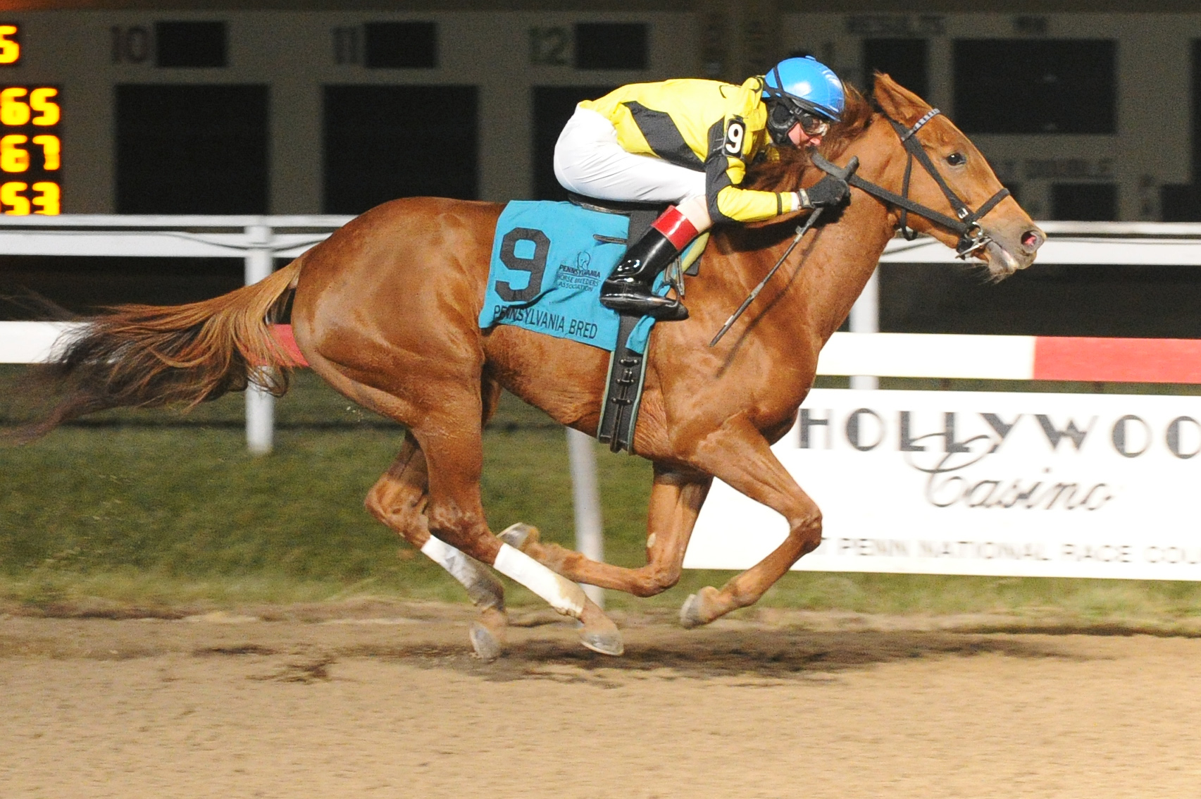 Rockin Jojo wins the Blue Mountain Juvenile Fillies Stakes