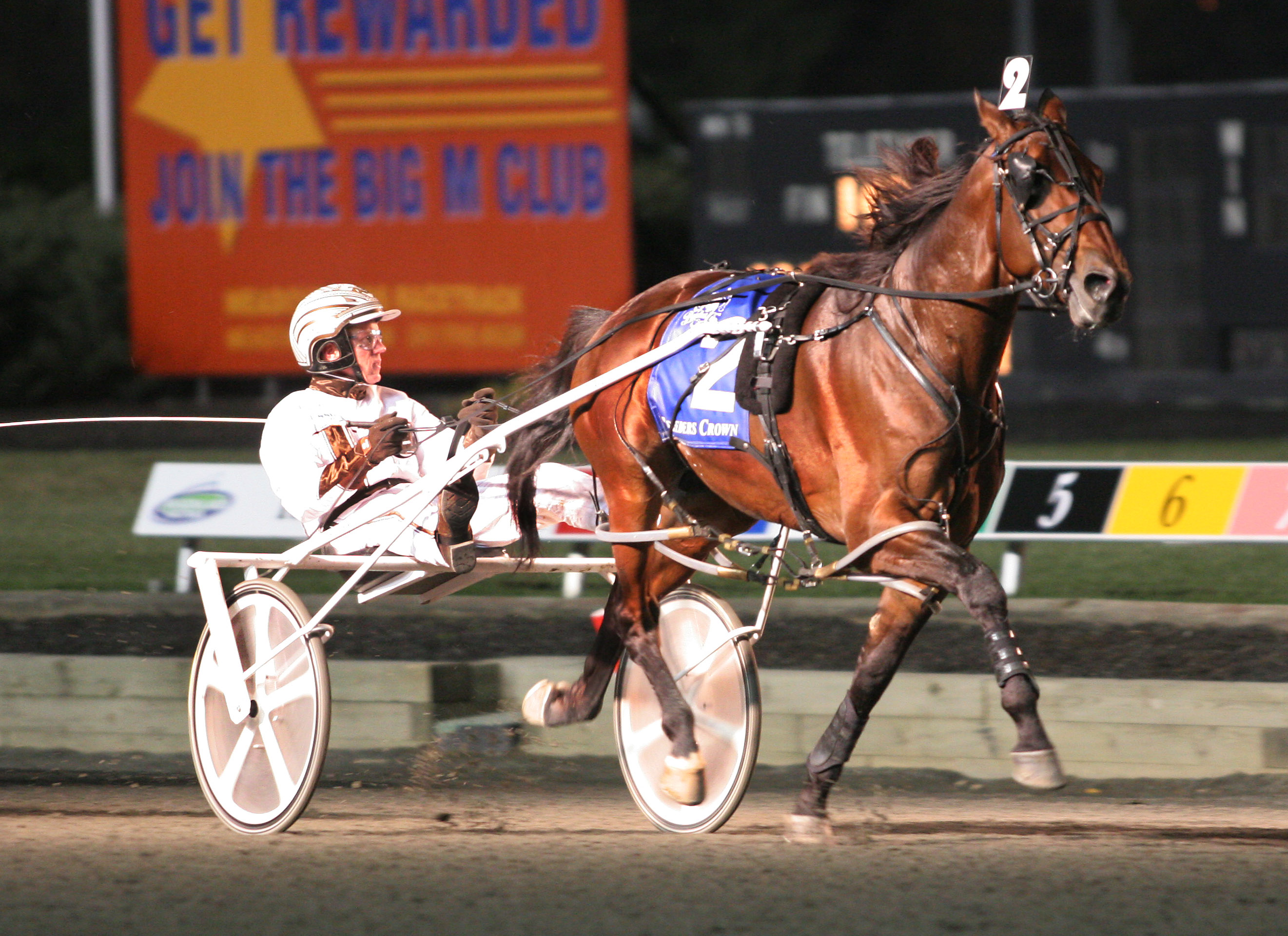 Rocknroll Hanover
