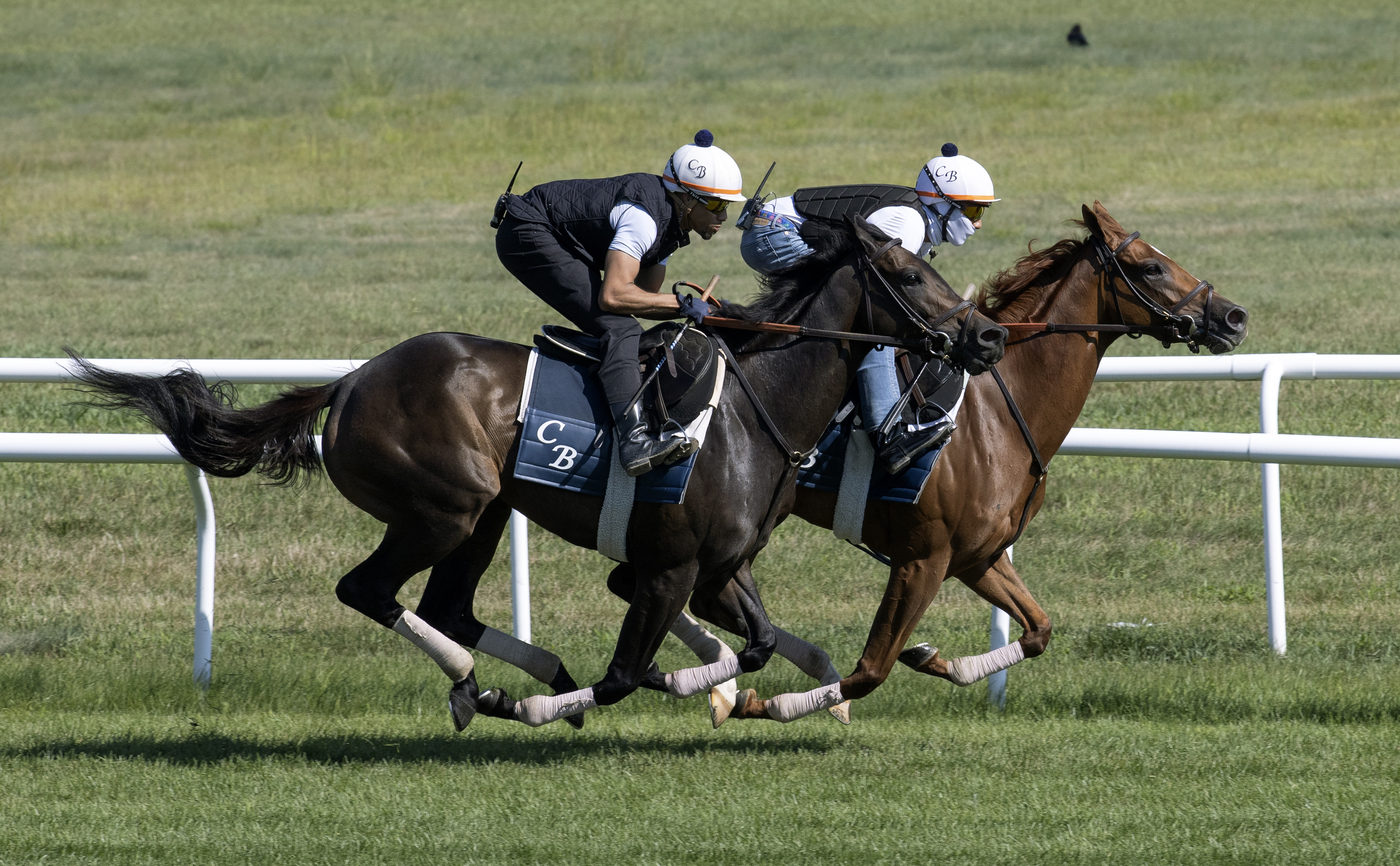 Rocky Sky (outside) breezes with Rougir on July 29 2022