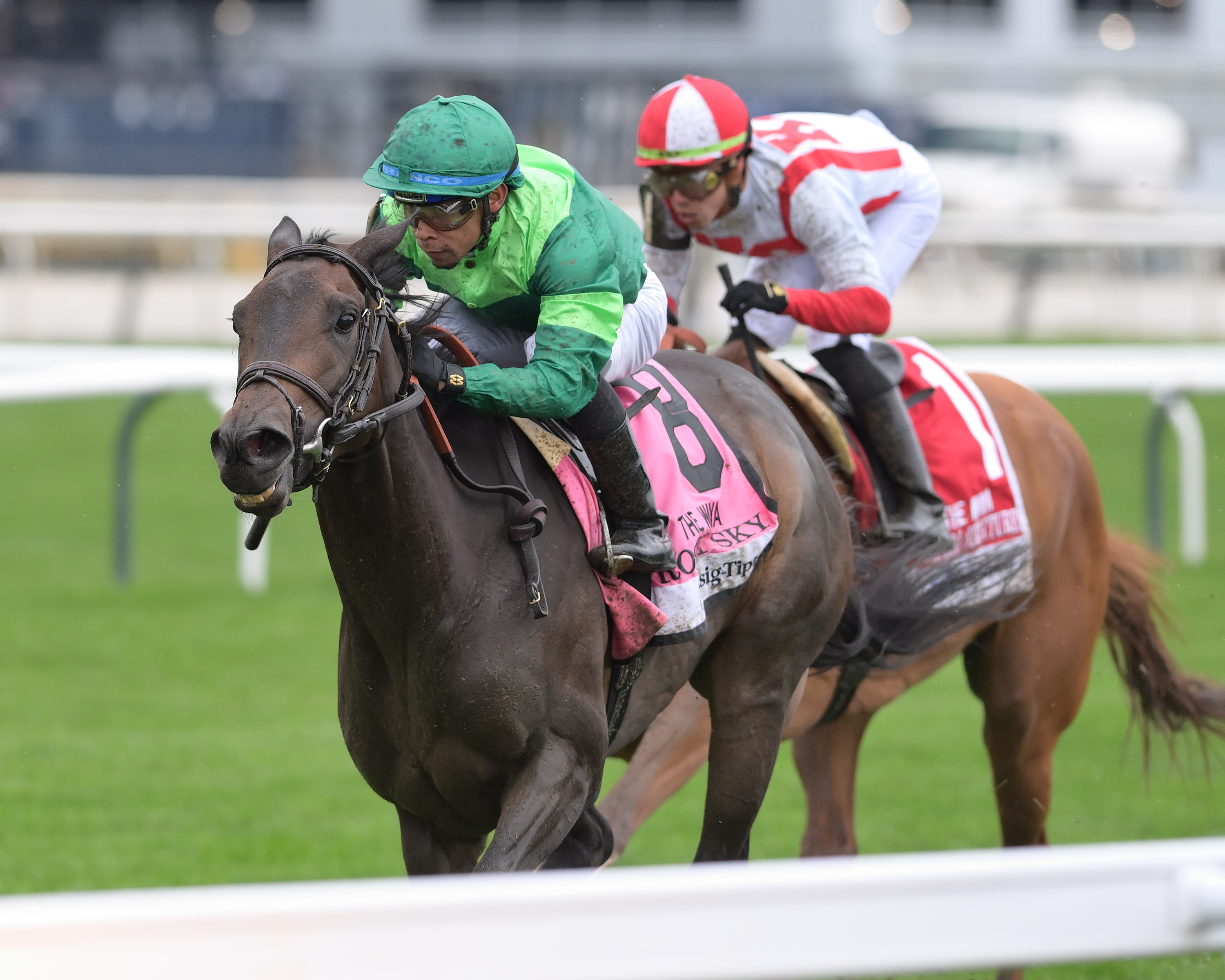 Rocky Sky wins Waya 10-2-2022