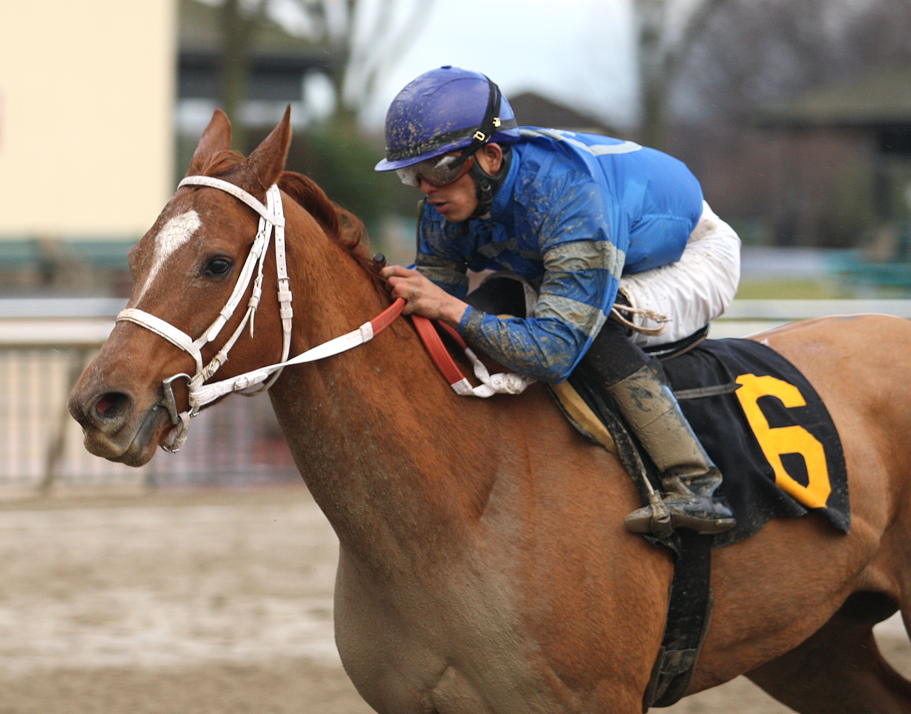 Rod's Five Star, 2012 Valley Forge Stakes