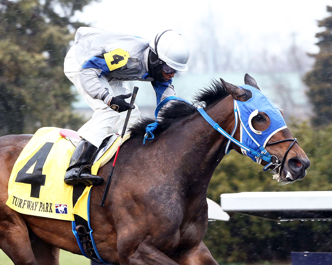 Rogue Too wins the 2020 Latonia Stakes at Turfway Park