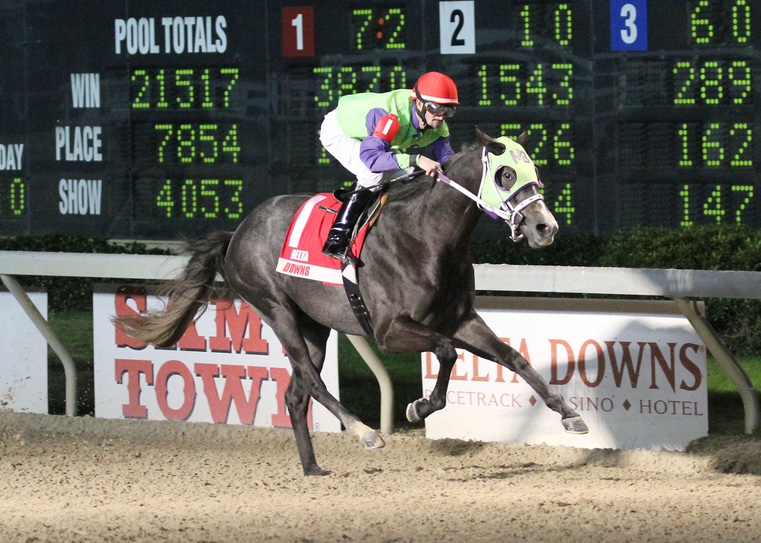 Roman unbridled