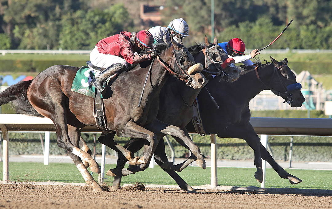Roman Centurian (left) finishes second in the Robert B. Lewis Stakes at Santa Anita