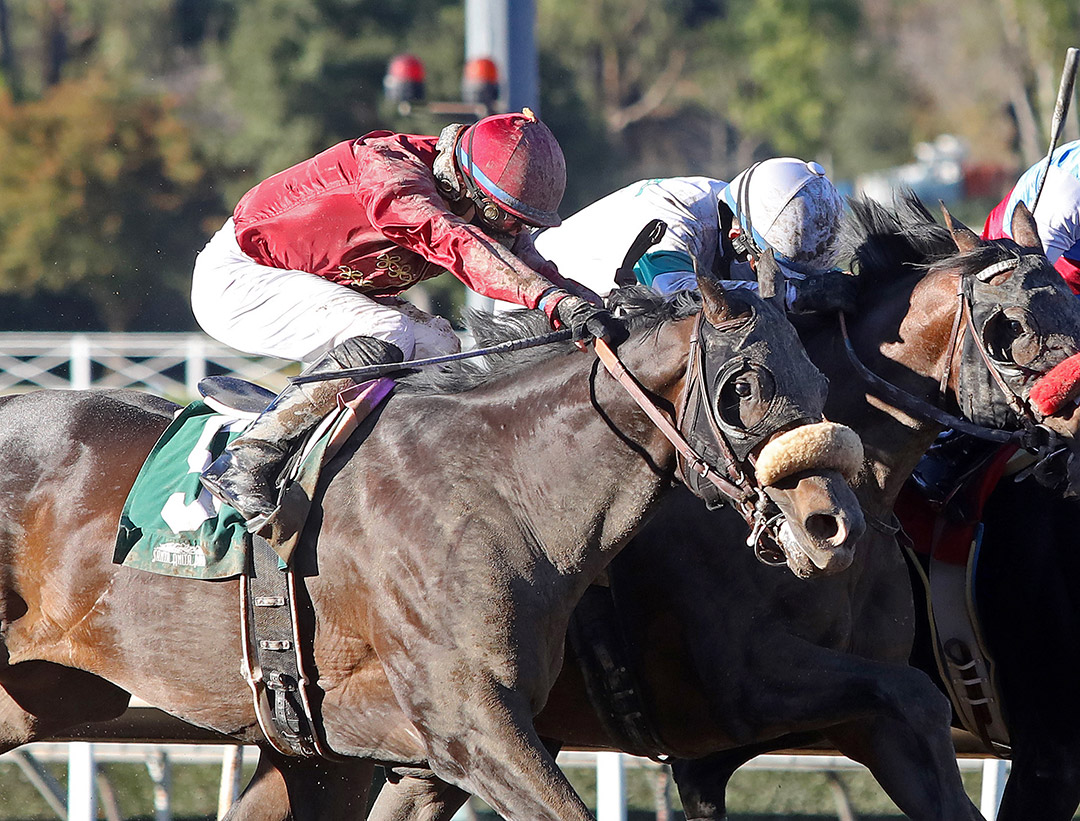Roman Centurian finishes second in the 2021 Robert B. Lewis Stakes at Santa Anita
