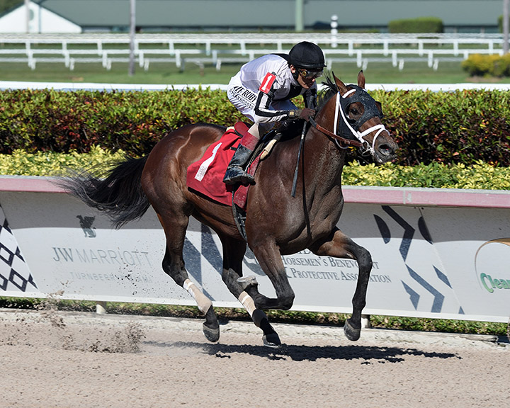 Roman Empire wins a Feb. 28 maiden race at Gulfstream Park