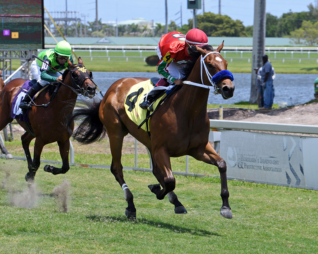 Roman Poet wins a May 21 maiden race at Gulfstream Park
