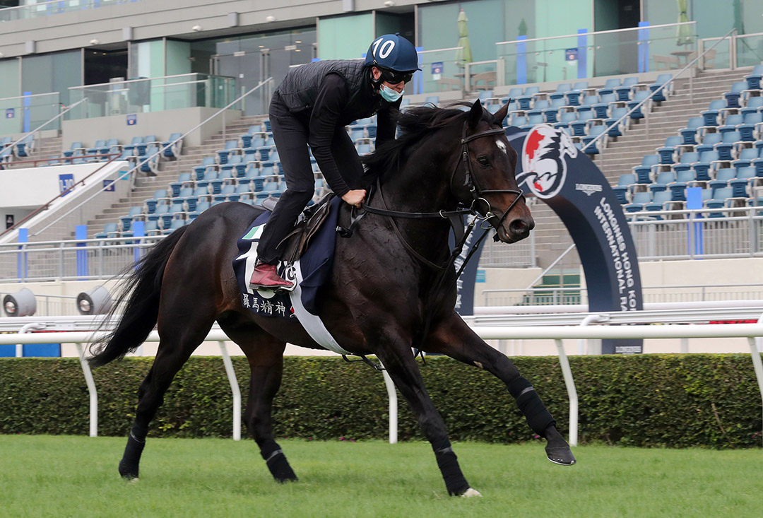 Romanised trains at Sha Tin Racecourse
