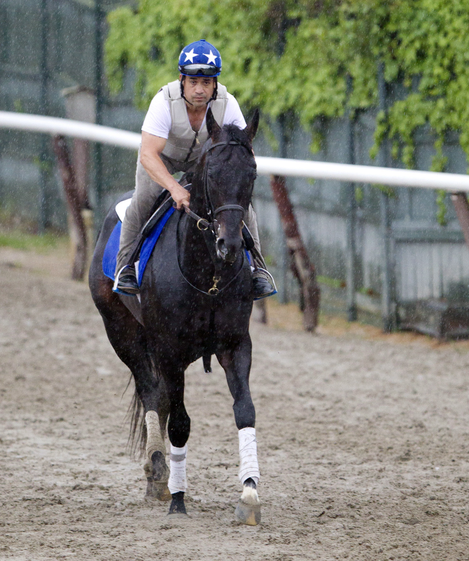 Romansh at Belmont in June 2014