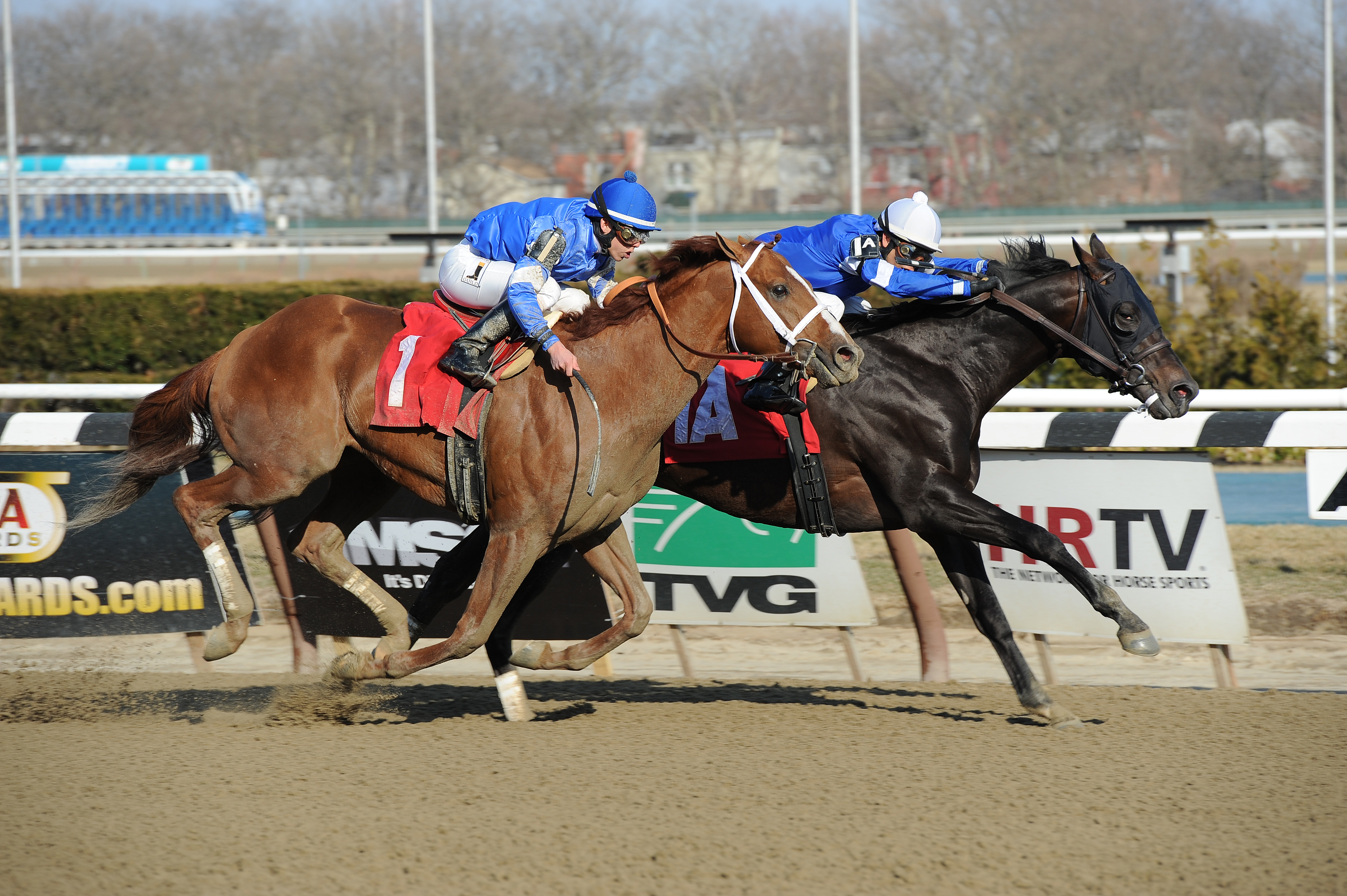 Romansh wins the Excelsior Stakes