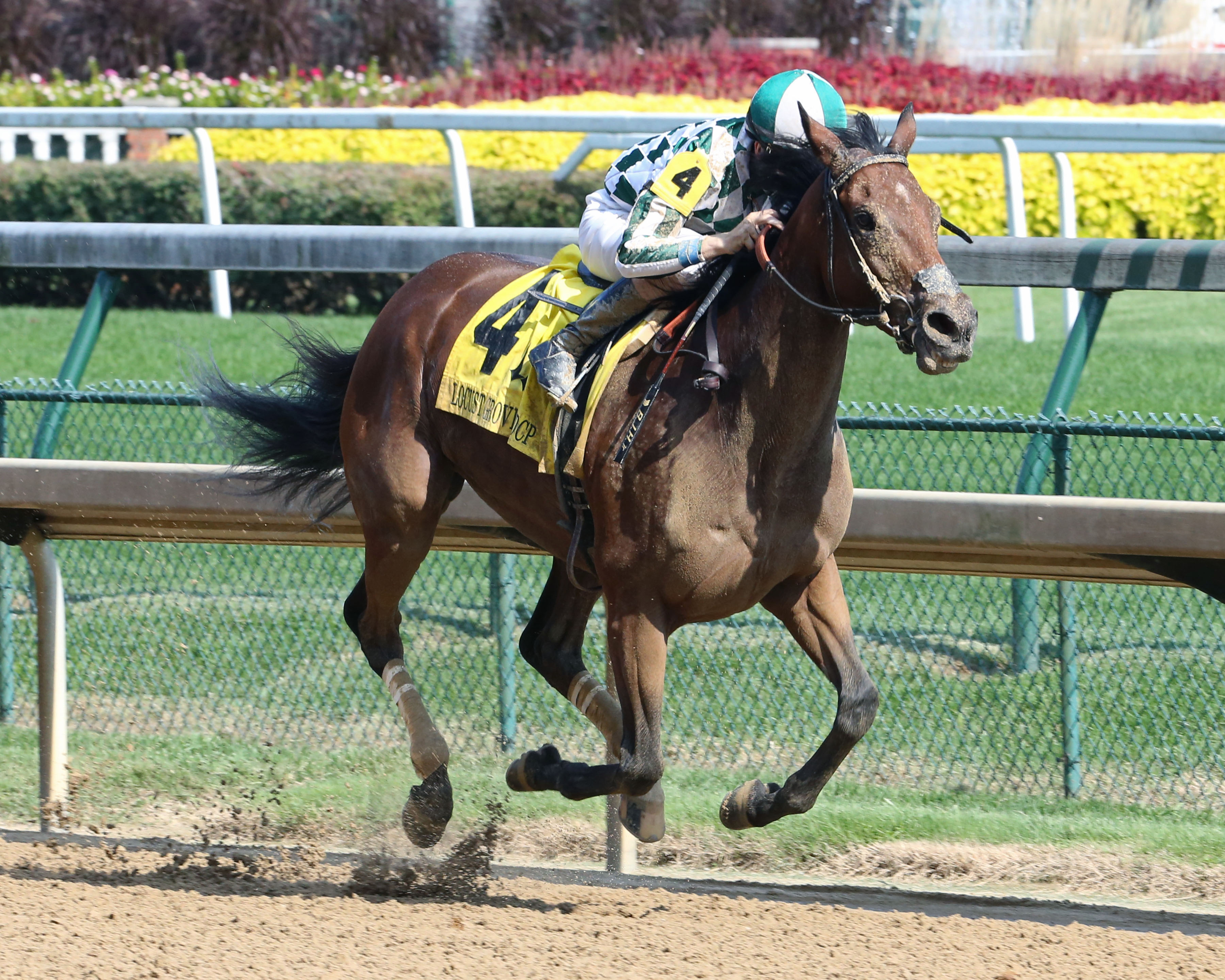 Romantic Vision wins the 2017 Locust Grove Stakes
