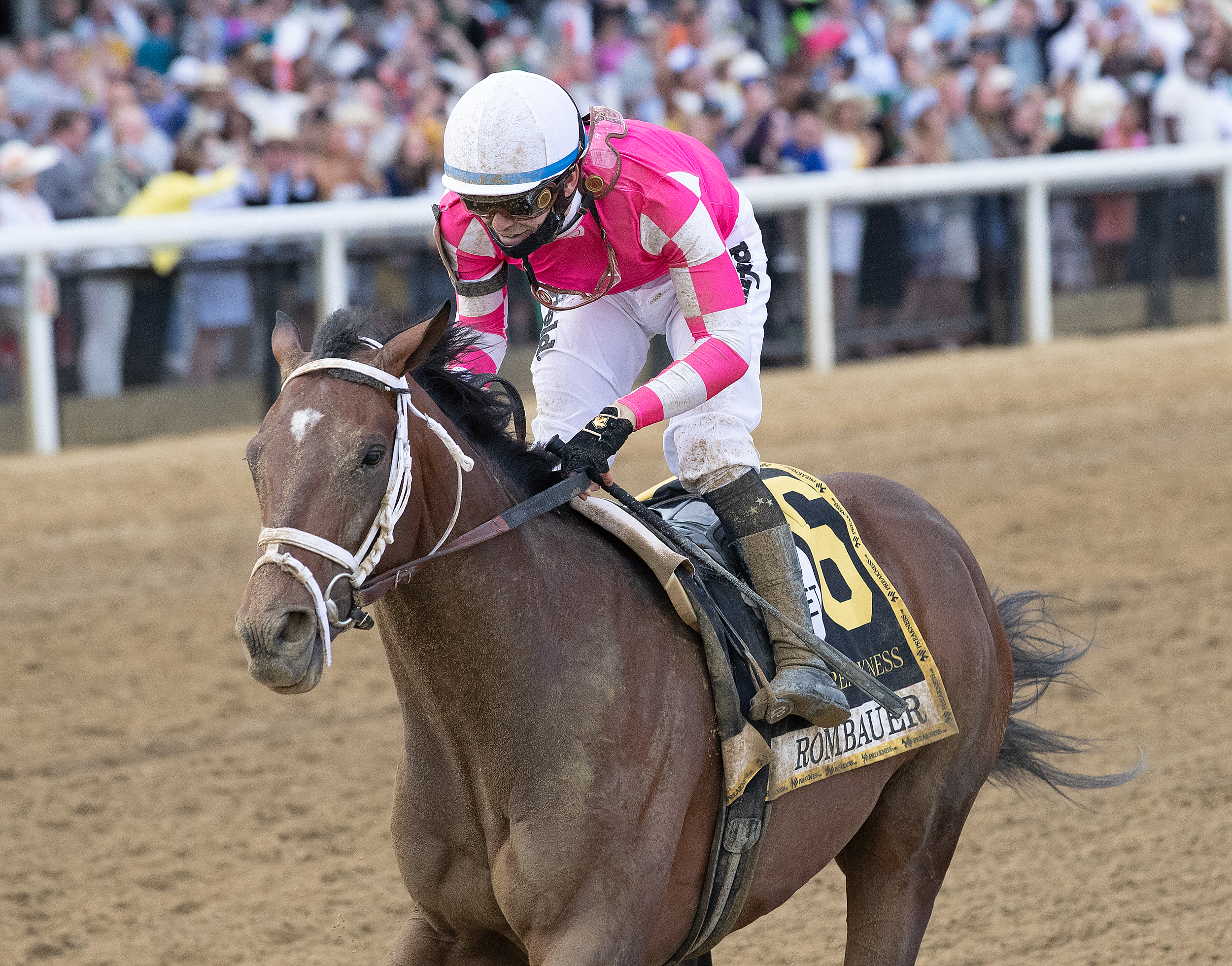 Rombauer - Preakness S. 2021