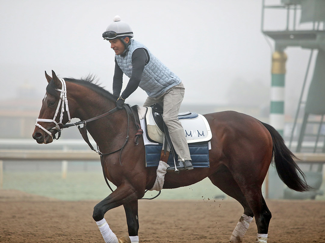 Rombauer at Santa Anita Park on Oct. 30