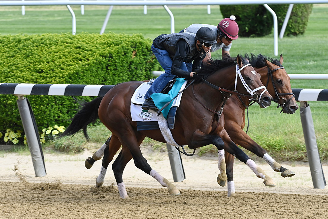 Belmont Stakes 2021: Velazquez gets acquainted with Rombauer
